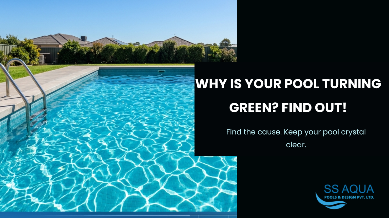 Swimming Pool Water Turning Green? Here's the Real Fix